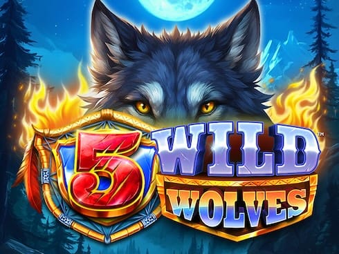 5 وائلڈ وولوز game icon